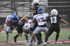 buhos-ipn-lobos-uadec-onefa-2025-41