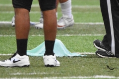 buhos-ipn-lobos-uadec-onefa-2025-55