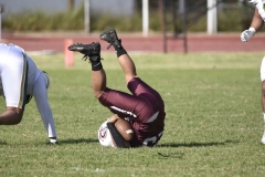 buhos-ipn-potros-uaem-onefa-2024-102