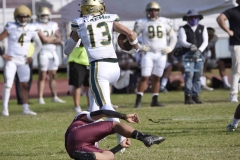 buhos-ipn-potros-uaem-onefa-2024-105