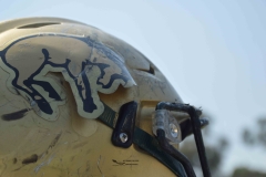 buhos-ipn-potros-uaem-onefa-2024-133