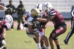 buhos-ipn-potros-uaem-onefa-2024-14