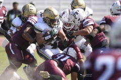 buhos-ipn-potros-uaem-onefa-2024-15