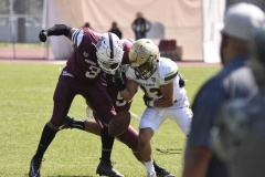 buhos-ipn-potros-uaem-onefa-2024-19