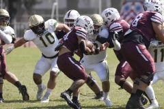 buhos-ipn-potros-uaem-onefa-2024-20