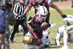 buhos-ipn-potros-uaem-onefa-2024-24