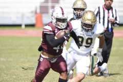 buhos-ipn-potros-uaem-onefa-2024-28