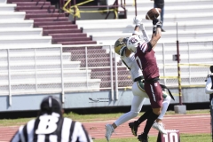 buhos-ipn-potros-uaem-onefa-2024-3