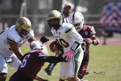 buhos-ipn-potros-uaem-onefa-2024-33