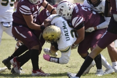 buhos-ipn-potros-uaem-onefa-2024-34