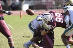 buhos-ipn-potros-uaem-onefa-2024-70