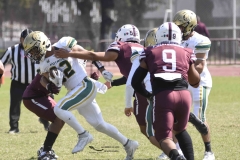 buhos-ipn-potros-uaem-onefa-2024-9