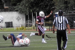 buhos-ipn-panteras-siglo-21-onefa-2022-30