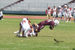 buhos-ipn-frailes-tepeyac-onefa-2023-1