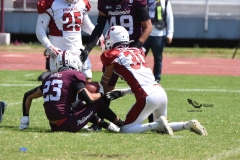 buhos-ipn-frailes-tepeyac-onefa-2023-109