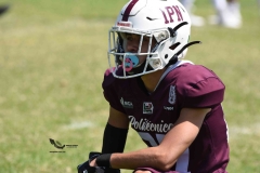 buhos-ipn-frailes-tepeyac-onefa-2023-110