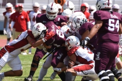buhos-ipn-frailes-tepeyac-onefa-2023-111