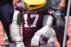 buhos-ipn-frailes-tepeyac-onefa-2023-120