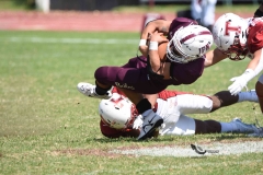buhos-ipn-frailes-tepeyac-onefa-2023-123