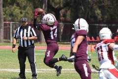 buhos-ipn-frailes-tepeyac-onefa-2023-125