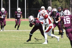buhos-ipn-frailes-tepeyac-onefa-2023-126