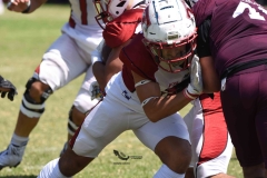 buhos-ipn-frailes-tepeyac-onefa-2023-135