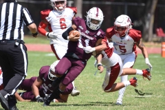 buhos-ipn-frailes-tepeyac-onefa-2023-140