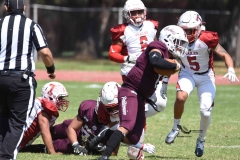 buhos-ipn-frailes-tepeyac-onefa-2023-141