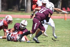 buhos-ipn-frailes-tepeyac-onefa-2023-142