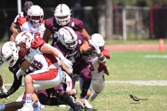 buhos-ipn-frailes-tepeyac-onefa-2023-145