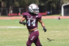 buhos-ipn-frailes-tepeyac-onefa-2023-151