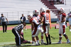 buhos-ipn-frailes-tepeyac-onefa-2023-162