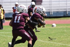 buhos-ipn-frailes-tepeyac-onefa-2023-165