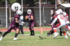 buhos-ipn-frailes-tepeyac-onefa-2023-182
