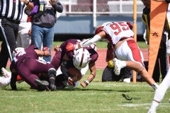 buhos-ipn-frailes-tepeyac-onefa-2023-186