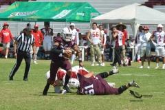 buhos-ipn-frailes-tepeyac-onefa-2023-19