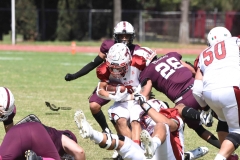 buhos-ipn-frailes-tepeyac-onefa-2023-196