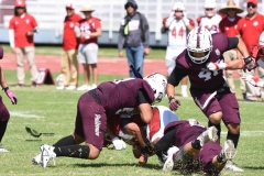 buhos-ipn-frailes-tepeyac-onefa-2023-197