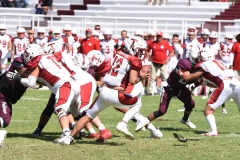 buhos-ipn-frailes-tepeyac-onefa-2023-204