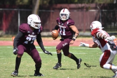 buhos-ipn-frailes-tepeyac-onefa-2023-208