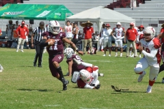 buhos-ipn-frailes-tepeyac-onefa-2023-21