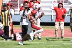buhos-ipn-frailes-tepeyac-onefa-2023-218