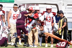 buhos-ipn-frailes-tepeyac-onefa-2023-242
