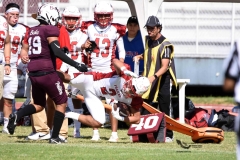 buhos-ipn-frailes-tepeyac-onefa-2023-243