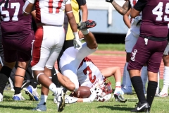 buhos-ipn-frailes-tepeyac-onefa-2023-247