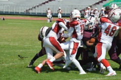 buhos-ipn-frailes-tepeyac-onefa-2023-26
