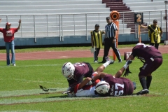 buhos-ipn-frailes-tepeyac-onefa-2023-29