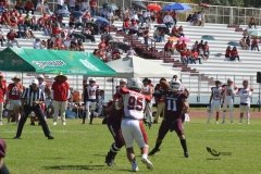 buhos-ipn-frailes-tepeyac-onefa-2023-39