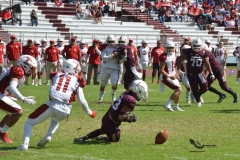 buhos-ipn-frailes-tepeyac-onefa-2023-43