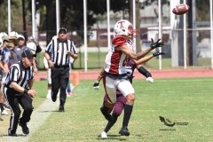 buhos-ipn-frailes-tepeyac-onefa-2023-55